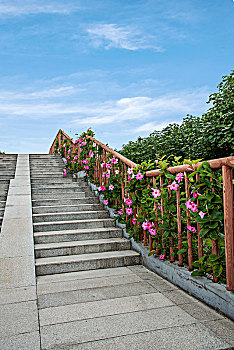 广东海珠湿地公园园区人行天桥鲜花栏杆