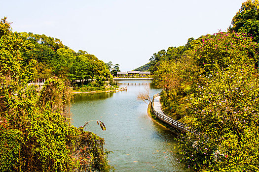 广州三月阳光明媚,春天帽峰山公园,踏青,春游