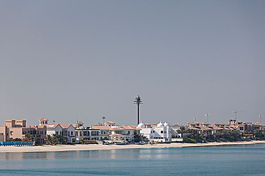 阿联酋,迪拜,手掌,海滨地区,房子,区域,人造,岛屿,形状,棕榈树