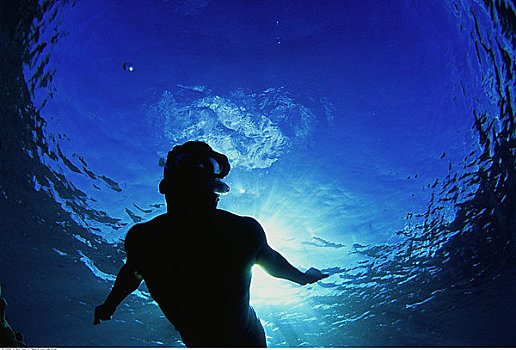 水下视角,男人,潜水,加勒比海