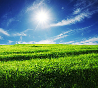 草原,草地,草坪,绿地,绿草,地面,天空,环境,背景,汽车修图,汽车背景
