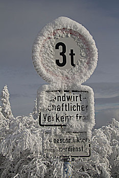 积雪,警告,标识,山,黑森林,地区,巴登符腾堡,德国,欧洲