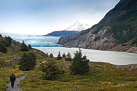 灰色,格里冰河,托雷德裴恩国家公园,智利人,巴塔哥尼亚,智利,南美