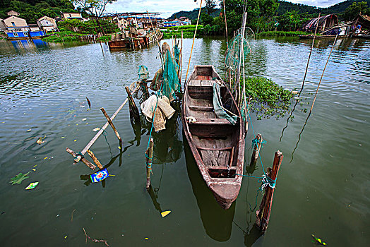 东钱湖,莫枝村,乡村,夏天,湖畔