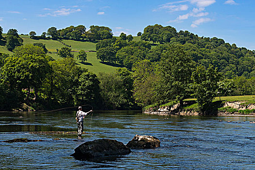 钓鱼,男人,河,赫里福德郡,英格兰,英国