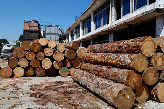 新西兰松木,木材,木头,原材料,实木,松木