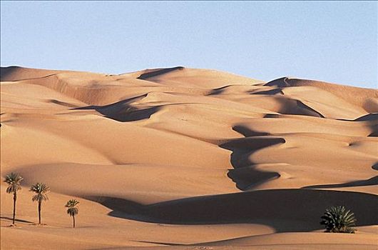 沙漠,沙丘,干燥,干旱,撒哈拉沙漠,利比亚,非洲
