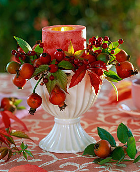 野玫瑰果,秋天,地锦属,叶子,大杯,蜡烛
