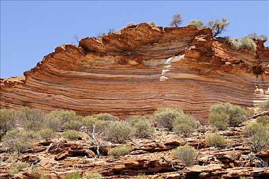 砂岩,地层,河,卡巴里国家公园,西澳大利亚,澳大利亚