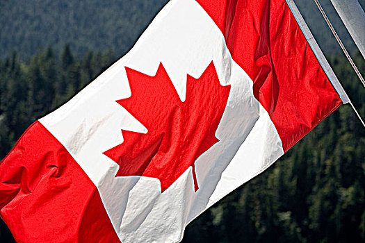 加拿大国旗,渡轮,不列颠哥伦比亚省,加拿大