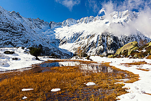 早,雪,苔藓,水塘,攀升,秋天,阿尔卑斯山,山谷,瑞士