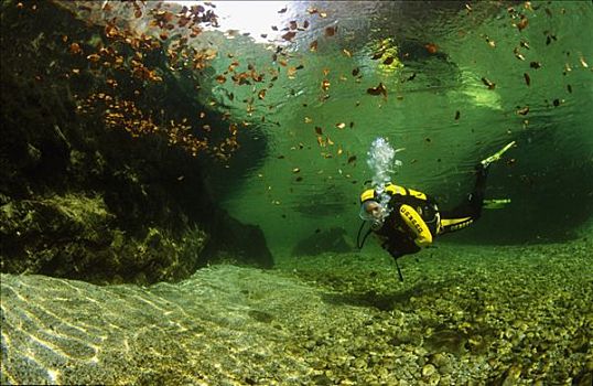 深潜,河,靠近,下奥地利州,奥地利,欧洲