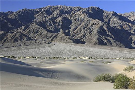 沙丘,波纹,冲积,背景,死谷,加利福尼亚,美国