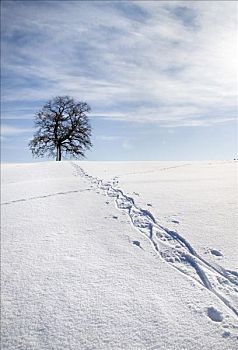 雪地鞋