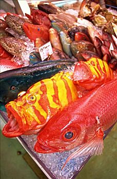 彩色,鱼,鱼市,冲绳,日本