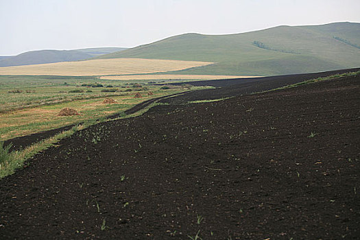 内蒙额尔古纳河沿岸黑色的肥沃土地