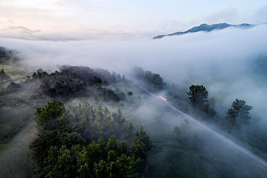 山间雾气