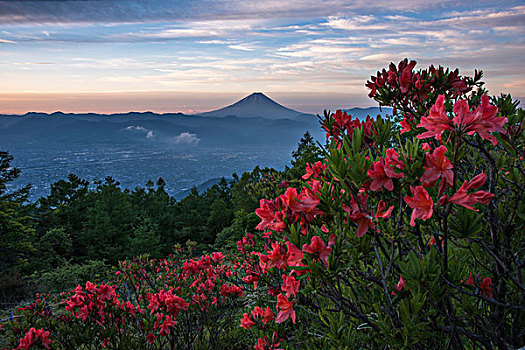 山,富士山