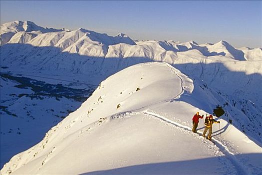 边远地区,极限,滑雪者,山脊,特纳甘湾,阿拉斯加,冬天,阳光