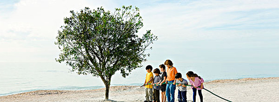 环境,概念,孩子,浇水,树,一起
