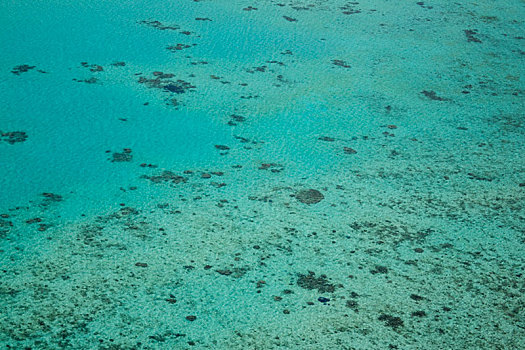 澳洲凯恩斯大堡礁绿