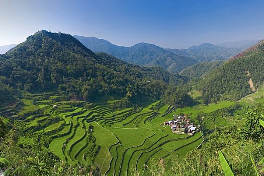 稻米梯田,巴纳韦,吕宋岛,菲律宾