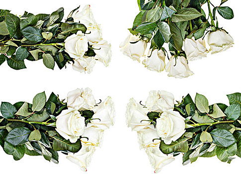 白色蔷薇,花束,隔绝