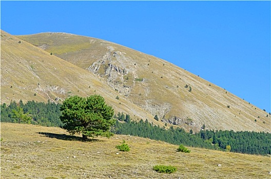 大萨索山