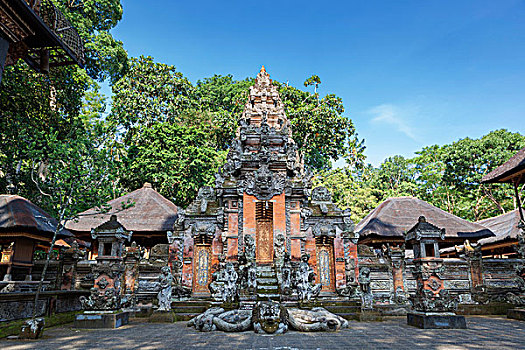 猴子,树林,庙宇,乌布,巴厘岛,印度尼西亚,亚洲