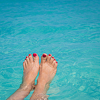 巴哈马,小,岛屿,女人,脚,漂浮,浅水,画廊