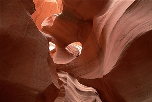 沙子,石头,峡谷,狭缝谷,亚利桑那,美国