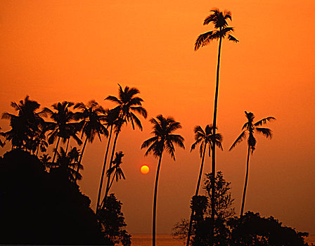 马来西亚,岛屿,日落,棕榈树