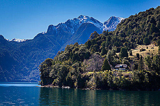 风景,湖,蔷薇目,巴塔哥尼亚,智利