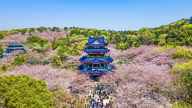 航拍江苏省无锡太湖鼋头渚赏樱楼,蠡湖渤公岛