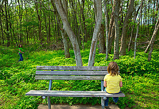 孤单,孩子,悲伤,看,树林,女孩,坐,公园长椅