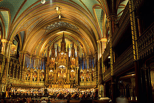 加拿大,魁北克,蒙特利尔,圣母院,大教堂,管弦乐,给,音乐会