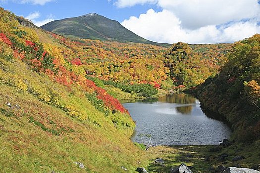 温泉,山,国家公园,沼泽