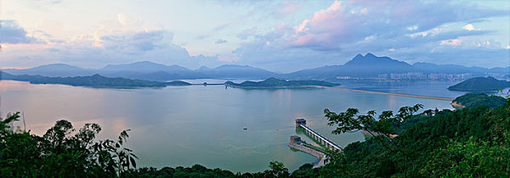 鸻,小湾,水库,黎明,香港