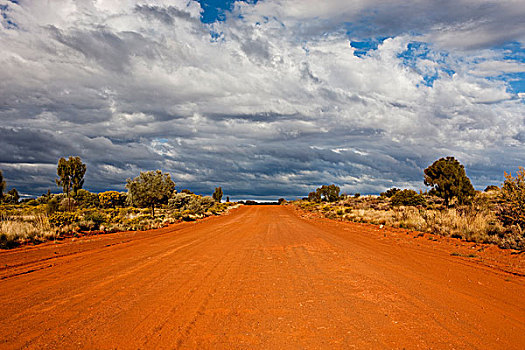 泥土,道路,偏远地区,北领地州,澳大利亚