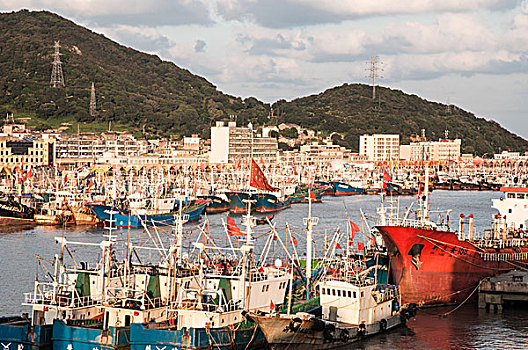 浙江舟山沈家门渔港全景