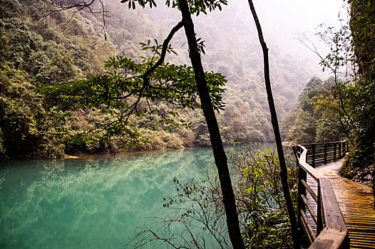 湖南,张家界大峡谷