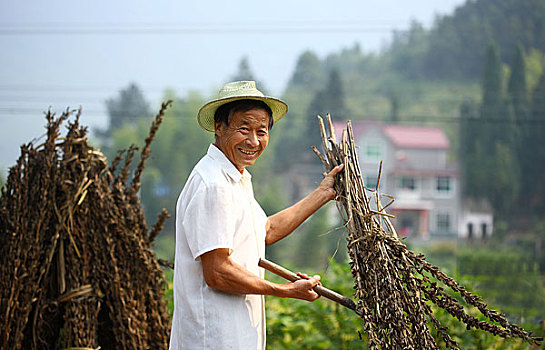 芝麻,打芝麻