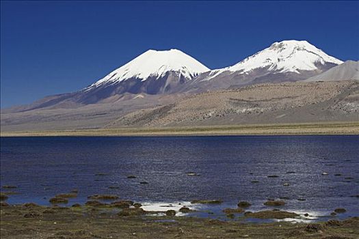 泻湖,国家公园,玻利维亚