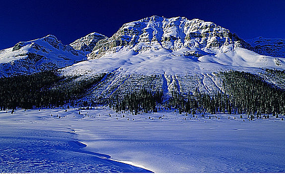 冬天,班芙国家公园,艾伯塔省,加拿大