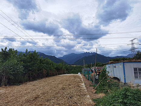 进山大陆