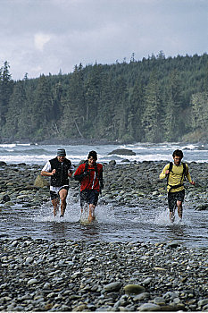 三个男人,远足,水,温哥华岛,不列颠哥伦比亚省