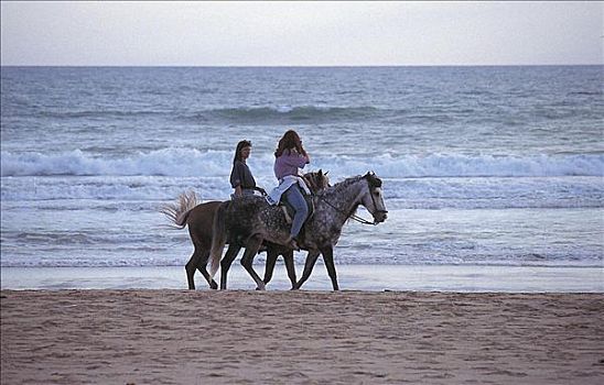 两个女人,骑马,骑,海滩,假日,安达卢西亚,西班牙,欧洲