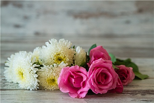粉色,玫瑰,白花