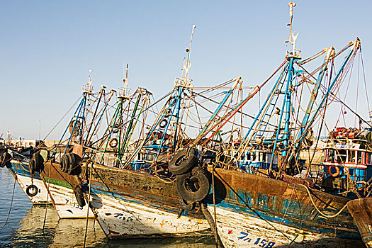 船,捕鱼,港口,苏维拉,摩洛哥,非洲
