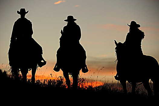 牛仔,女牛仔,骑,上方,草原,日落时的侧面影,萨斯喀彻温,加拿大